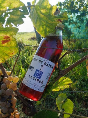 Domaine Oriol
